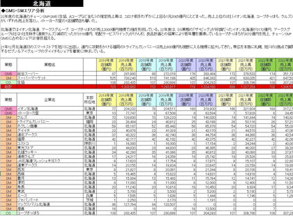 小売業都道府県別勢力図2024【Excel版】GMS・SM基本版+DgS
