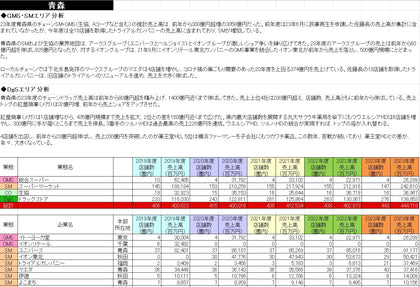 小売業都道府県別勢力図2025【Excel版】GMS・SM基本版+DgS